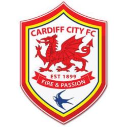 Opposition view: Cardiff City