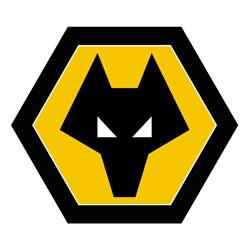 Opposition view: Wolverhampton Wanderers